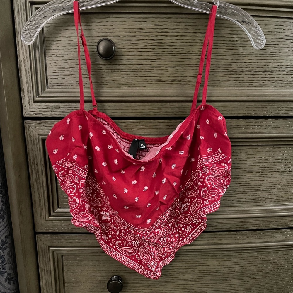 Red Handkerchief Crop from Garage